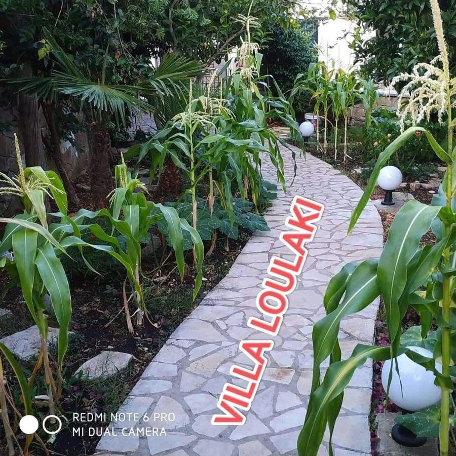 Villa Loulaki Magazia Paxi Arvanitakeika Zewnętrze zdjęcie